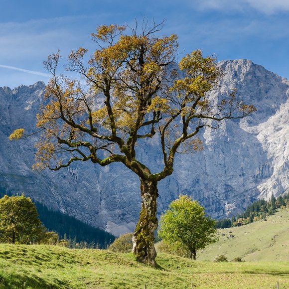 Meet your Posher, MM - Picture 2 of 4